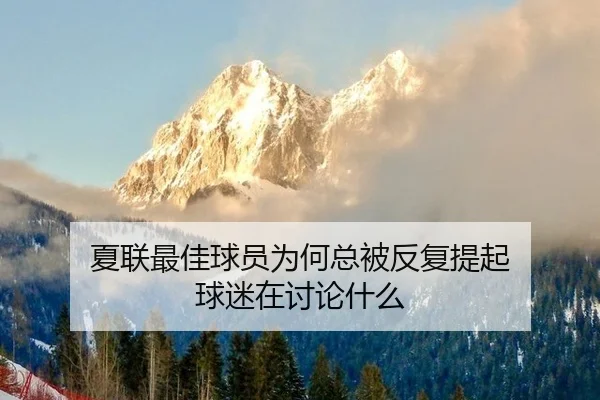 夏联最佳球员为何总被反复提起 球迷在讨论什么（kaiyun）